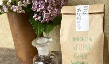インドネシアの豆ジャンボ・ガヨ